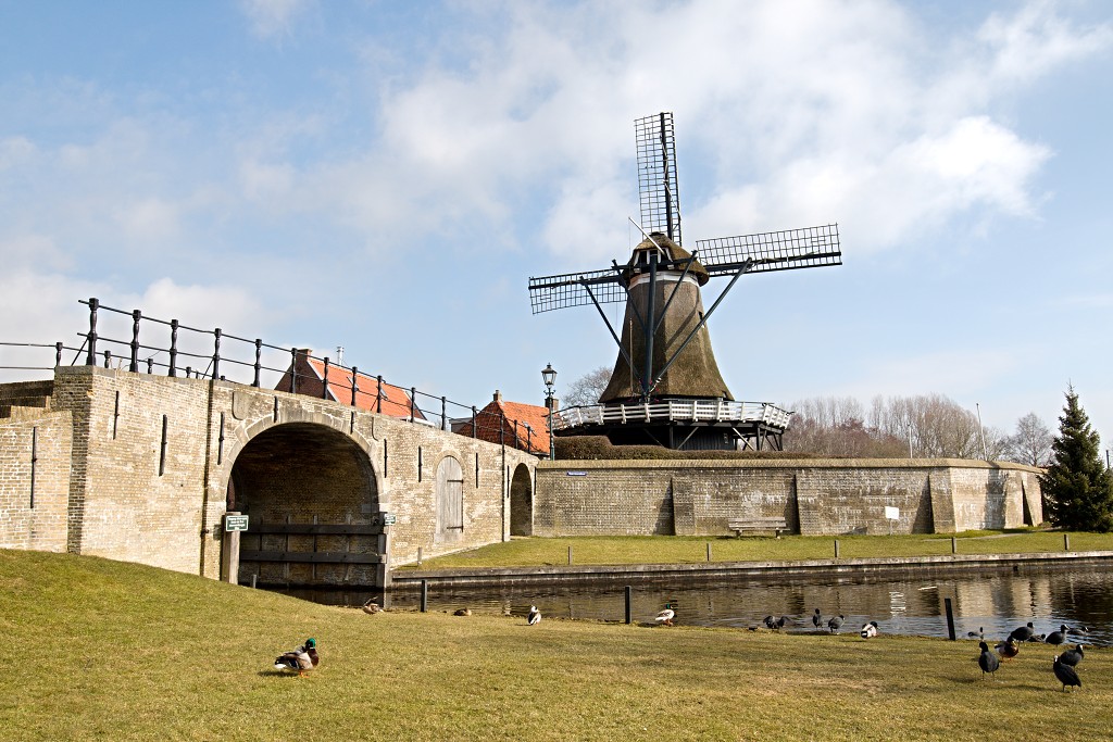 molen molens hdr erfgoed polder landschap windmolen windmolenpark windpark windmolens windturbine windenergie windturbines